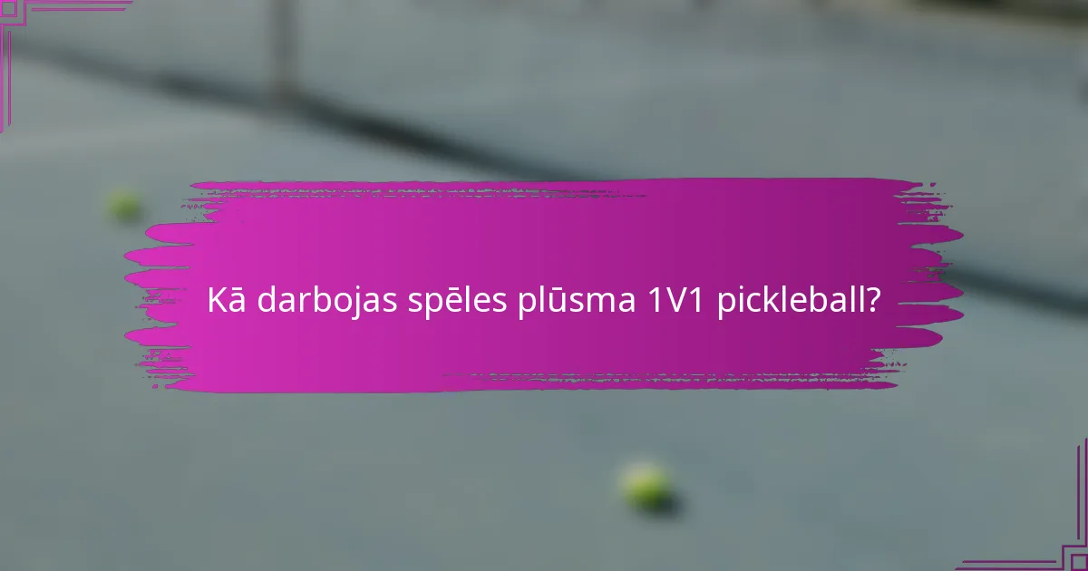 Kā darbojas spēles plūsma 1V1 pickleball?